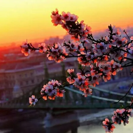 Always A Huge Sale! * Будапешт