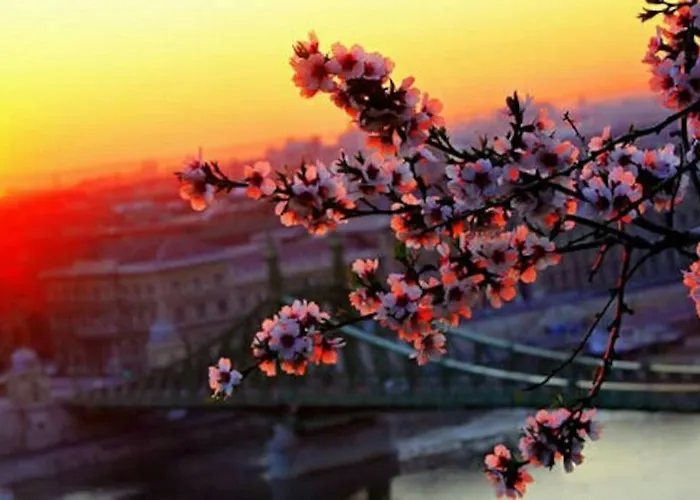 Always A Huge Sale! * Будапешт