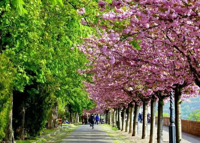 Always A Huge Sale! בודפשט